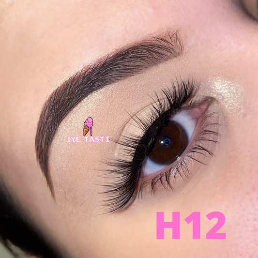 H12
